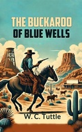 Cover: The Buckaroo of Blue Wells - Double 9 Books