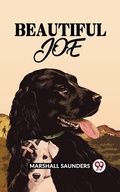 Cover: BEAUTIFUL JOE - Double 9 Books
