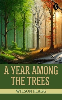 Abbildung von: A year among the trees - True Sign Publishing House