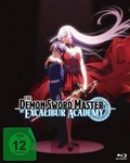 Cover: The Demon Sword Master of Excalibur Academy - KSM
