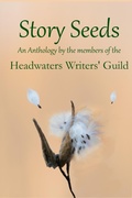 Cover: Story Seeds - Virginia L. Neely