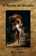Cover: A Storm in Arcadia - Clare Songbirds Publishing House