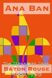 Enlarge image Cover: The Strangers Saga - Five Point Publishing
