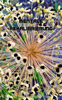 Abbildung von: Mentale Rekalibrierung - AC