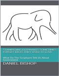 Cover: Sometimes Elephants Forget Things They Used to Love - Daniel Bishop