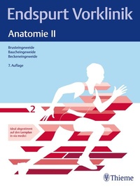 Abbildung von: Endspurt Vorklinik: Anatomie II - Thieme