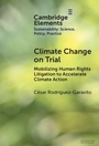Cover: Climate Change on Trial - Cambridge University Press