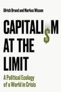 Cover: Capitalism at the Limit - Wiley