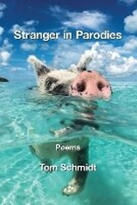 Enlarge image Cover: Stranger in Parodies - Kelsay Books