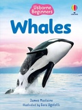 Cover: Beginners Whales - Usborne Publishing Ltd