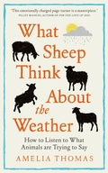 Cover: What Sheep Think About the Weather - Elliott & Thompson Limited