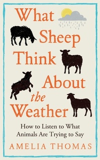 Abbildung von: What Sheep Think About the Weather - Elliott & Thompson Limited
