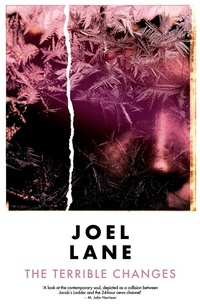 Enlarge image Cover: The Terrible Changes - Influx Press