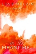 Cover: In the Meantime... - Mkt Publishing, LLC