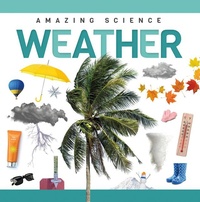 Enlarge image Cover: Weather - North Star Editions