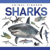 Enlarge image Cover: Sharks - North Star Editions