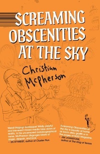 Abbildung von: Screaming at Obscenities the Sky - At Bay Press