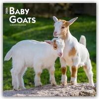 Abbildung von: Baby Goats - Ziegenbabys 2026 - 16-Monatskalender - Browntrout Publishers