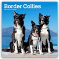 Abbildung von: Border Collies 2026 - 16-Monatskalender - Browntrout Publishers