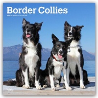 Abbildung von: Border Collies 2026 - 16-Monatskalender - Browntrout Publishers