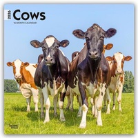 Abbildung von: Cows - Kühe 2026 - 16-Monatskalender - Browntrout Publishers