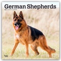 Cover: German Shepherds - Deutsche Sch&auml;ferhunde 2026 - 16-Monatskalender - Browntrout Publishers