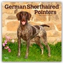 Bild: German Shorthaired Pointers - Deutsch Kurzhaar 2026 - 16-Monatskalender - Browntrout Publishers
