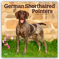 Bild vergrößern Bild: German Shorthaired Pointers - Deutsch Kurzhaar 2026 - 16-Monatskalender - Browntrout Publishers