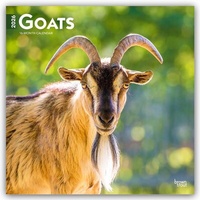 Abbildung von: Goats - Ziegen 2026 - 16-Monatskalender - Browntrout Publishers