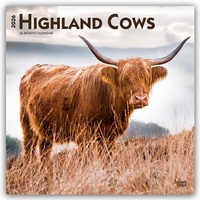 Abbildung von: Highland Cows - Hochlandrinder 2026 - 16-Monatskalender - Browntrout Publishers