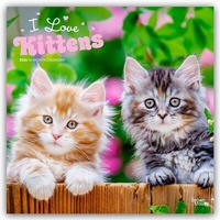Abbildung von: I Love Kittens - Ich liebe Katzenbabys 2026 - 16-Monatskalender - Browntrout Publishers