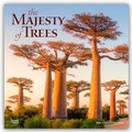 Abbildung von: The Majesty of Trees - Die Erhabenheit der Bäume 2026 - 16-Monatskalender - Browntrout Publishers