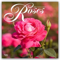Abbildung von: Roses - Rosen 2026 - 16-Monatskalender - Browntrout Publishers