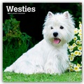 Abbildung von: West Highland White Terriers - Westhighland White Terrier - Westies 2026 - 16-Monatskalender - Browntrout Publishers