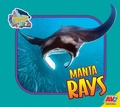 Cover: Manta Rays - Av2