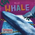 Cover: Blue Whale - North Star Editions