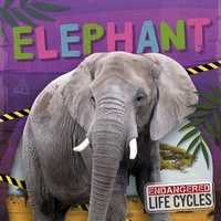 Enlarge image Cover: Elephant - North Star Editions