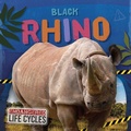 Cover: Black Rhino - North Star Editions