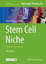 Cover: Stem Cell Niche - Humana