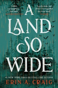 Abbildung von: A Land So Wide - Headline