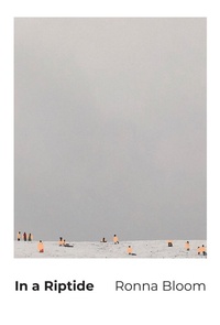 Enlarge image Cover: In a Riptide - Brick Books