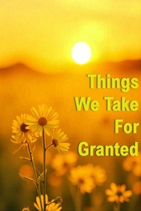 Enlarge image Cover: Things We Take For Granted - Avijit Roy