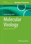 Abbildung von: Molecular Virology - Humana