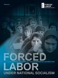 Cover: Forced Labor under National Socialism - Wallstein