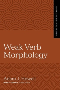 Enlarge image Cover: Weak Verb Morphology - Zondervan Academic