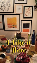 Cover: I Like it Here - Sardine Studios