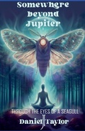 Cover: Somewhere Beyond Jupiter - Through the Eyes of a Seagull - Daniel J Taylor