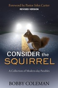 Cover: Consider the Squirrel - Open Skies Media