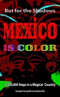 Cover: But For the Shadows, Mexico is Color - LTB Productions & Publishing