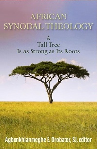 Abbildung von: African Synodal Theology - Orbis Books (USA)
